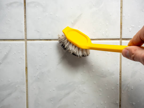 Home Mold Removal in Clementon, NJ