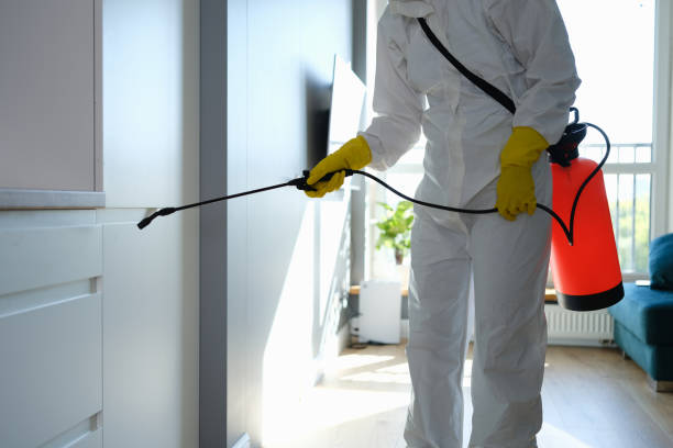 Best Toxic Mold Removal  in Clementon, NJ