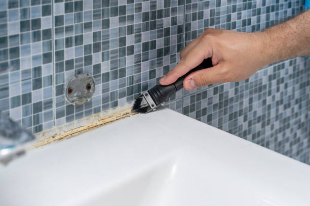 Best Mold Removal and Inspection  in Clementon, NJ