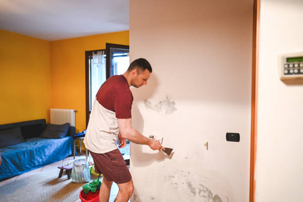 Best Crawl Space Mold Removal  in Clementon, NJ